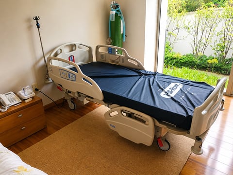 Modern medical hospital bed in a bright room with a window overlooking green garden vegetation.