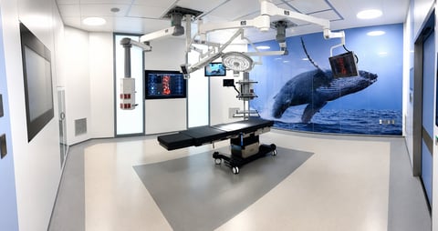 Modern surgical operating room with overhead lights, monitoring equipment, surgical table, and whale artwork on the wall